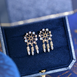 Dream catcher Earrings